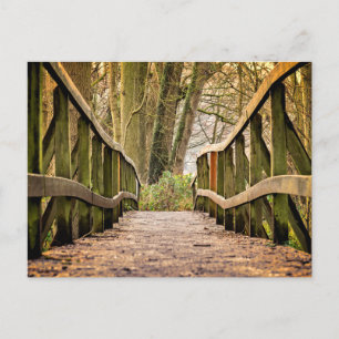 Old Wooden Bridge, Nature, Forest Postcard
