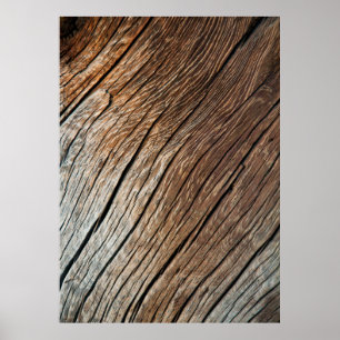 Old wooden texturetexture, wood, abstract, art, ba poster