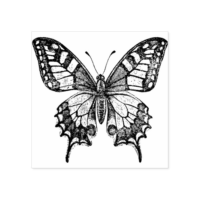 Old World Swallowtail Butterfly Rubber Stamp (Imprint)