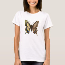 Old World Swallowtail Butterfly Wing Made of Aged
