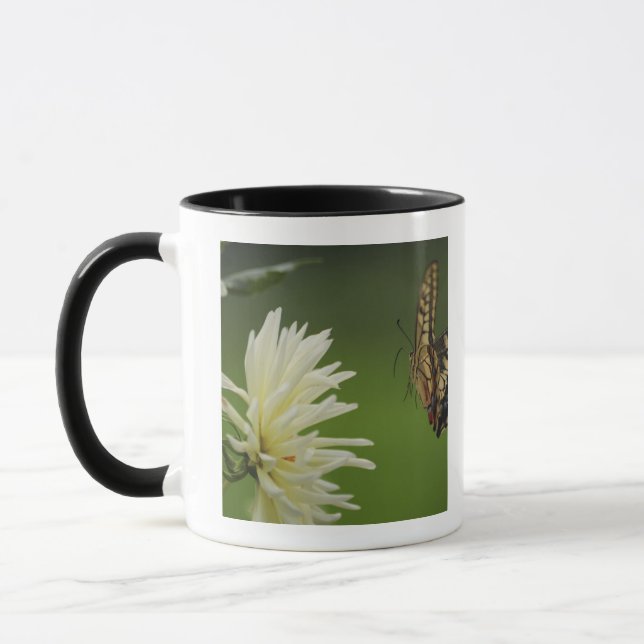 Old World Swallowtail Flying Mug (Left)