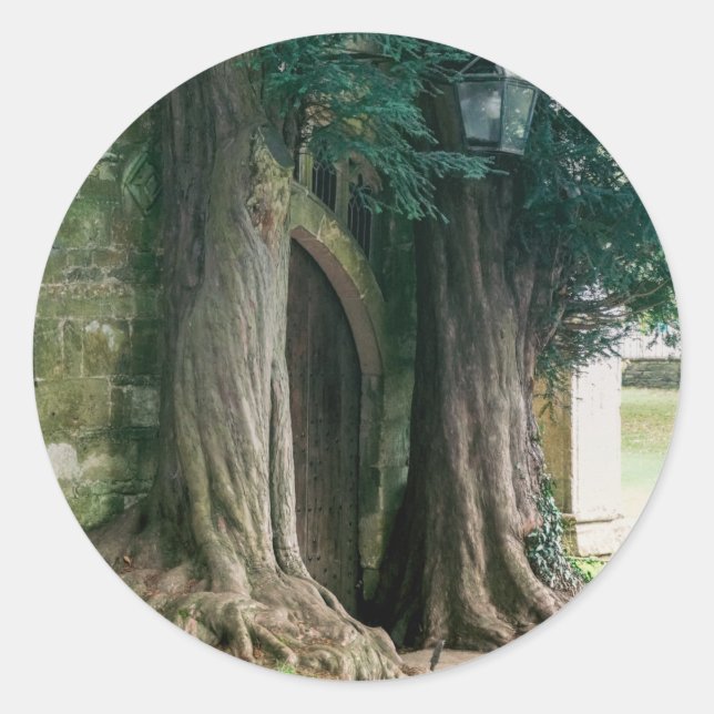 Old Yew Trees Classic Round Sticker (Front)