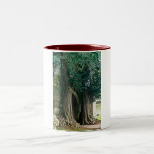 Old Yew Trees Two-Tone Coffee Mug