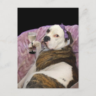 olde english bulldogge postcard