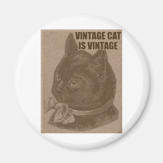 Olde LOLcat Magnet (Front)