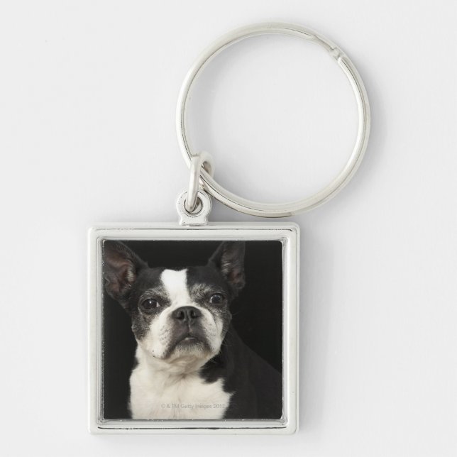 Older Bosten Terrier on black background Key Ring (Front)