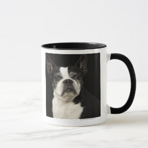 Older Bosten Terrier on black background Mug