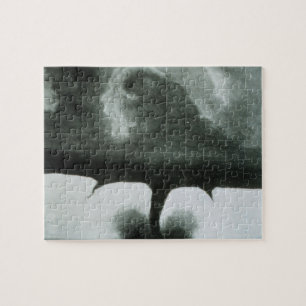 Oldest Known Photograph of a Tornado from 1884 Jigsaw Puzzle