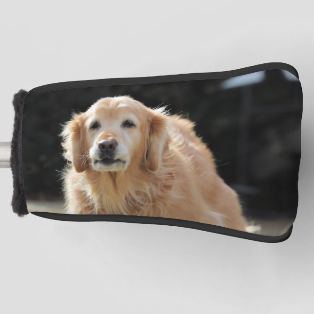 Oldie Golden Golf Head Cover (Front)