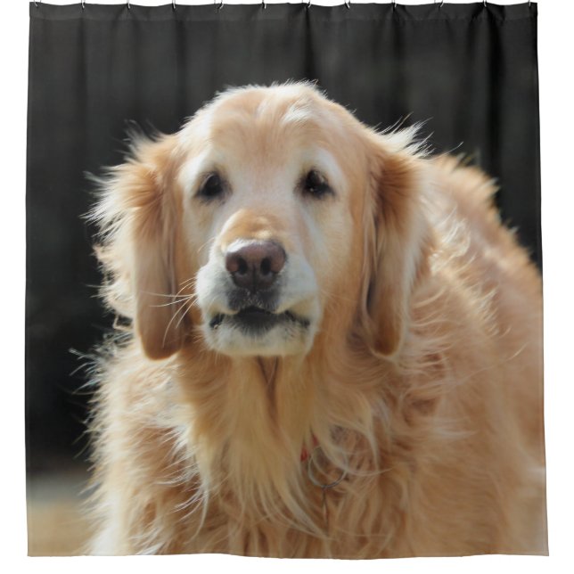 Oldie Goldie Shower Curtain (Front)