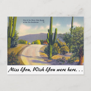 Ole Southwest Postcard