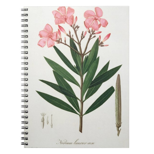 Oleander from 'Phytographie Medicale' by Joseph Ro Notebook (Front)