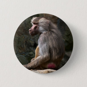 Olive Baboon 6 Cm Round Badge