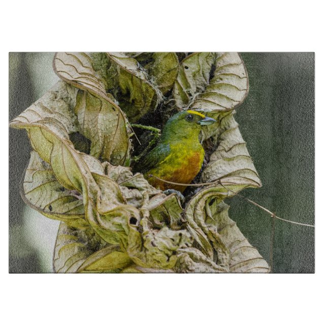Olive Backed Euphonia, Wildlife Avian Photography Cutting Board (Front)