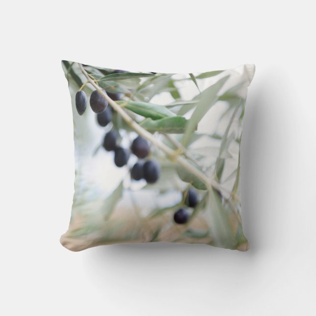 Olive branch cushion (Front)
