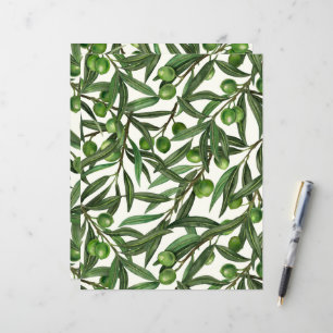 Olive branches on off white