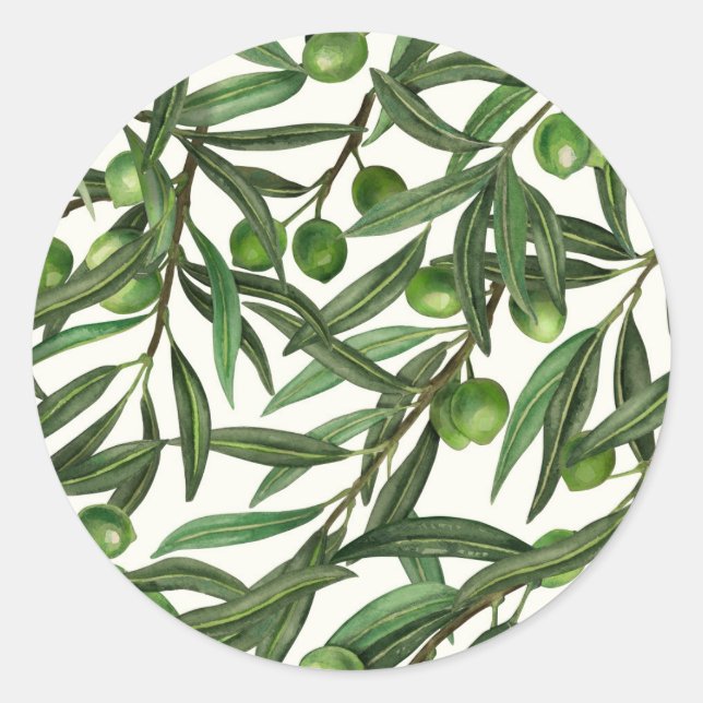 Olive branches on off white classic round sticker (Front)