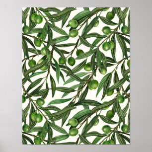 Olive branches on off white poster