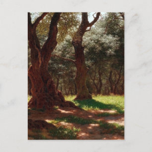 Olive Forest in Cap Saint Martin Ivan Choultsé Holiday Postcard