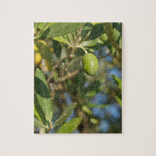 olive fruit jigsaw puzzle