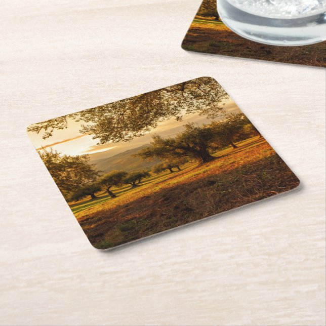 Olive Garden Plantation Sunset In Fall Square Paper Coaster (Angled)