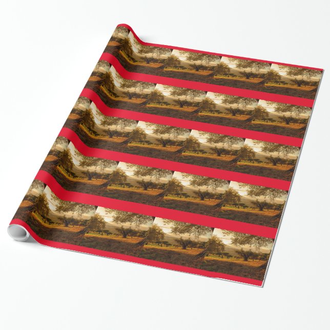 Olive Garden Plantation Sunset In Fall Wrapping Paper (Unrolled)