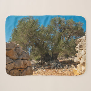Olive Gardens of Lun Sherpa Blanket