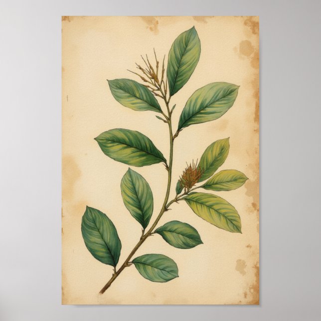 Olive Green Botanical Antique Leaf Wall Art (Front)