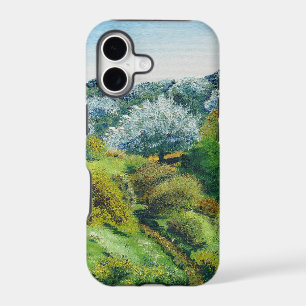 Olive Grove