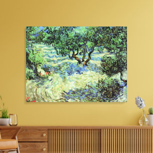 Olive Grove by Vincent van Gogh Canvas Print