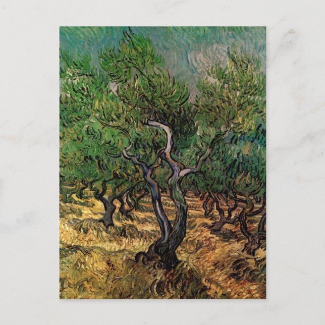 Olive Grove by Vincent van Gogh Postcard (Front)