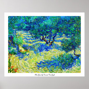 Olive Grove by Vincent Van Gogh Poster