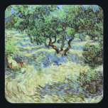 Olive Grove by Vincent van Gogh Square Sticker<br><div class="desc">Olive Grove by Vincent van Gogh is a vintage fine art post impressionism nature painting. Van Gogh painted over a dozen landscapes of olive trees while living in the south of France. An orchard filled with fruit trees on a farm in the summer season. About the artist: Vincent Willem van...</div>