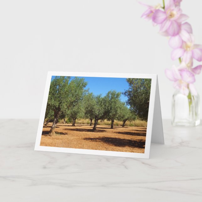 Olive Grove Landscape Card (Orchid)