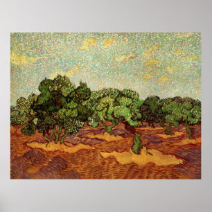 Olive Grove Pale Blue Sky by Vincent van Gogh Poster