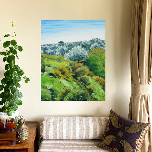 Olive Grove Photo Print