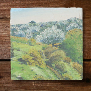 Olive Grove Stone Coaster