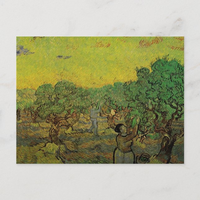 Olive Grove with Picking Figures, Vincent van Gogh Postcard (Front)
