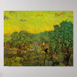 Olive Grove with Picking Figures, Vincent van Gogh Poster