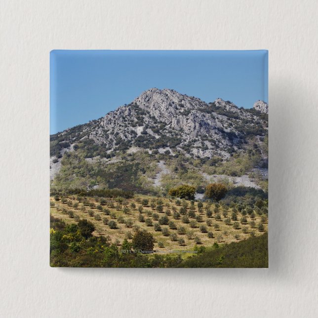 Olive Groves 15 Cm Square Badge (Front)