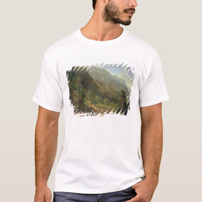 Olive Groves at Varenna, Lake Como, Italy, 1861 (o T-Shirt (Front)
