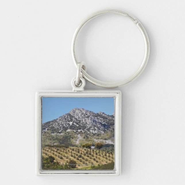 Olive Groves Key Ring (Front)