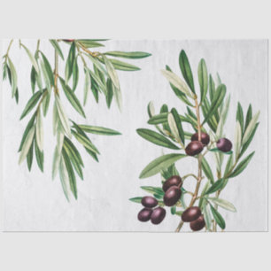 Olive Leaves Mediterranean Greek Island  Tissue Paper