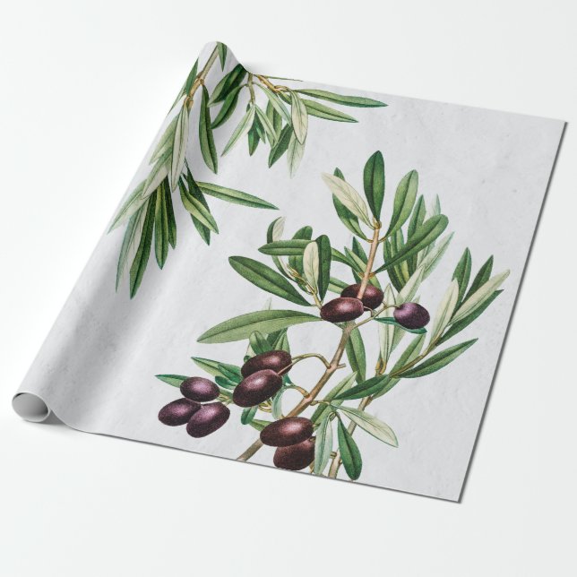 Olive Leaves Mediterranean Greek Island  Wrapping Paper (Unrolled)