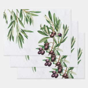 Olive Leaves Mediterranean Greek Island  Wrapping Paper Sheet