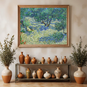 Olive Orchard, Vincent van Gogh   Poster