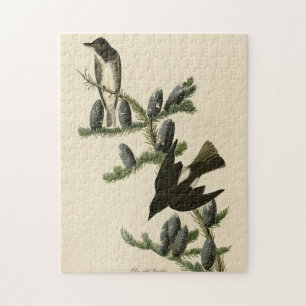 Olive-sided Flycatcher, Audubon's Birds of America Jigsaw Puzzle