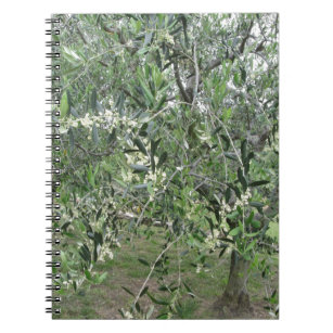 Olive tree branches with first buds Tuscany, Italy Notebook