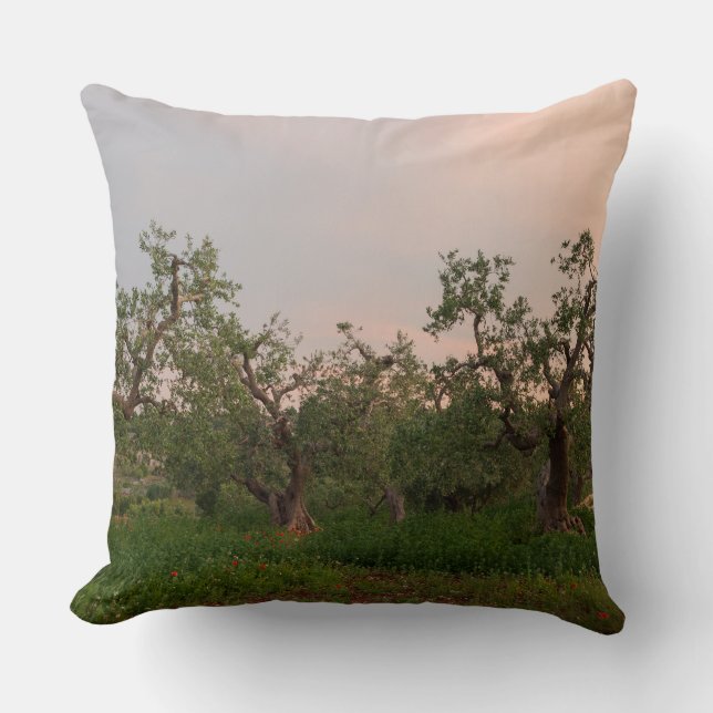 Olive tree grove at sunset throw pillow (Front)