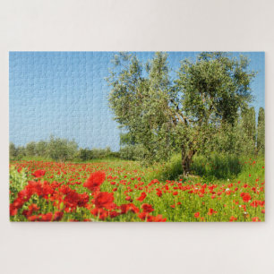Olive tree in poppy field in summer jigsaw puzzle
